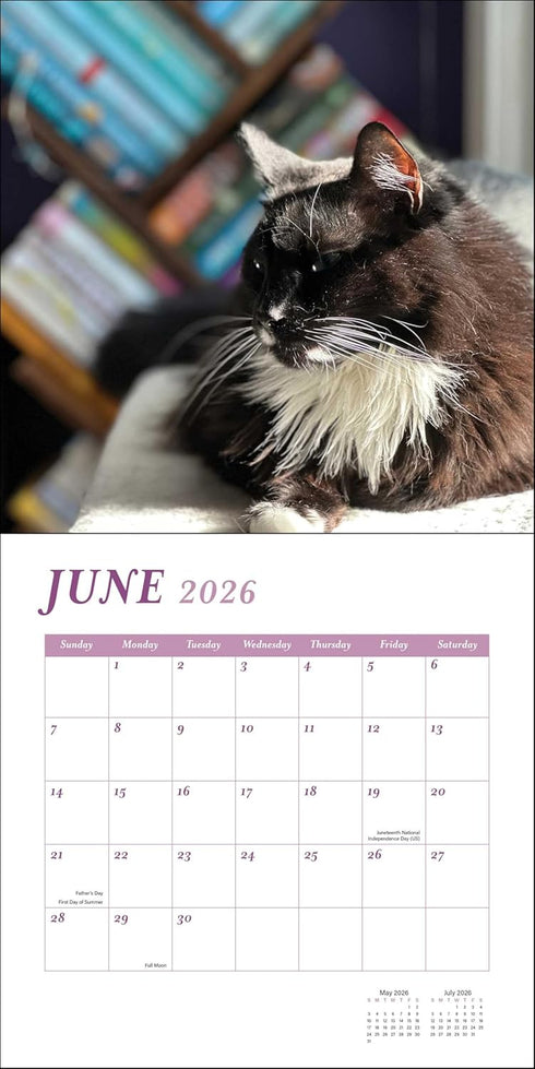 CATS AND BOOKS 2026 WALL CALENDAR